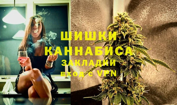 твердый Алексин