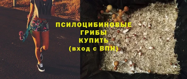 твердый Алексин